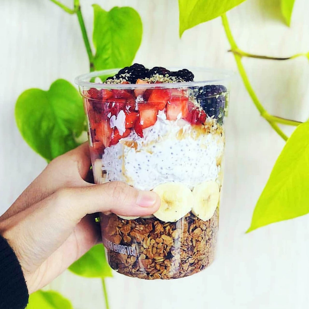Coco-Chia