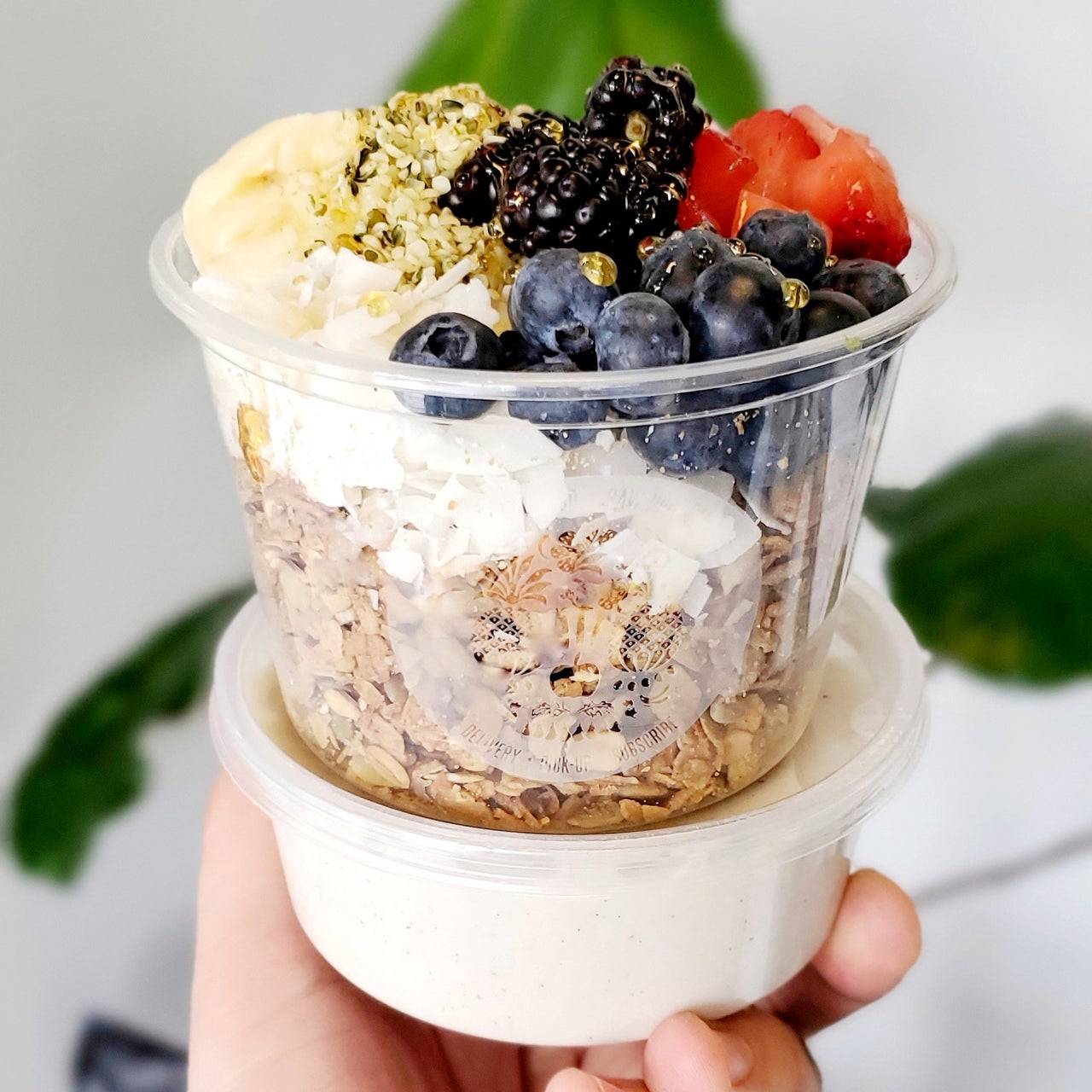 Straight Granola